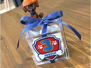 BOÎTE PAT PATROUILLE