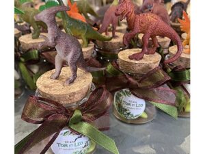 POT À DRAGÉES DINOSAURES